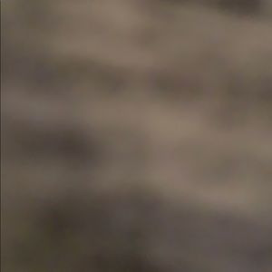 Meet your Posher, Alicia